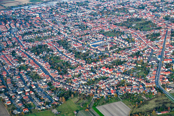 Vue aérienne de Chemin de Lachener à Haßloch dans le département Rhénanie-Palatinat, Allemagne