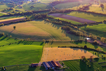 Vue aérienne de Prairies fauchées avec des balles de foin dans une ferme à Rexingen dans le département Bas Rhin, France