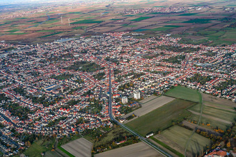 Vue aérienne de Chemin de Lachener à Haßloch dans le département Rhénanie-Palatinat, Allemagne