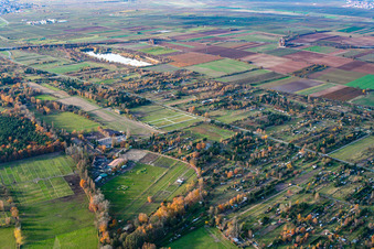 Vue aérienne de Village de jardins familiaux entre Mußbacher Baggerweier et Westrandstraße avec le club équestre Pfalzmühle Haßloch eV à le quartier Mußbach an der Weinstraße in Neustadt an der Weinstraße dans le département Rhénanie-Palatinat, Allemagne