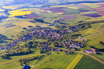 Vue aérienne de Vue d'ensemble du village le matin depuis le nord-ouest à Dehlingen dans le département Bas Rhin, France