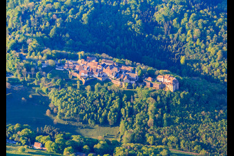Vue aérienne de Château de Lützelstein / Château de La Petite-Pierre le matin depuis le nord à La Petite-Pierre dans le département Bas Rhin, France