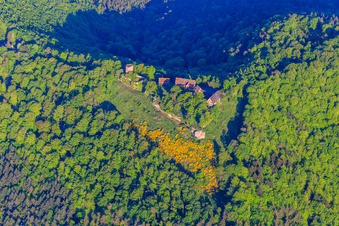 Vue aérienne de CHÂTEAU DU HUNEBOURG vu de l'est à Dossenheim-sur-Zinsel dans le département Bas Rhin, France