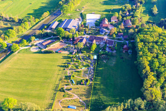 Photographie aérienne de Parc naturel équestre à Altwiller dans le département Bas Rhin, France