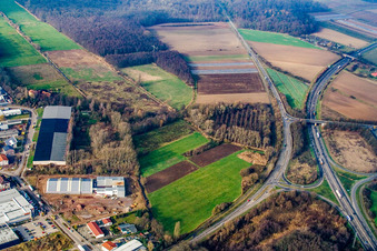 Vue aérienne de Sortie 20 Kandel Nord de l'autoroute A65 à Erlenbach bei Kandel dans le département Rhénanie-Palatinat, Allemagne