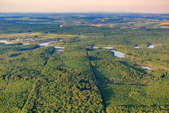 Vue aérienne de Forêt devant le lac de Mittersheim depuis l'ouest à Mittersheim dans le département Moselle, France