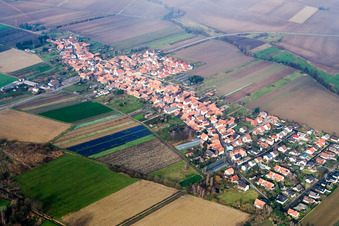 Vue aérienne de Vue sur le village à Erlenbach bei Kandel dans le département Rhénanie-Palatinat, Allemagne