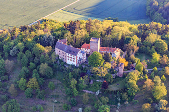 Vue aérienne de Château et parc du château Gamburg à le quartier Gamburg in Werbach dans le département Bade-Wurtemberg, Allemagne