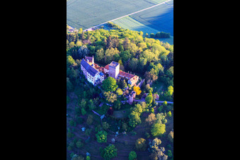 Vue aérienne de Château et parc du château Gamburg à le quartier Gamburg in Werbach dans le département Bade-Wurtemberg, Allemagne