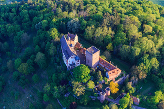 Photographie aérienne de Château et parc du château Gamburg à le quartier Gamburg in Werbach dans le département Bade-Wurtemberg, Allemagne