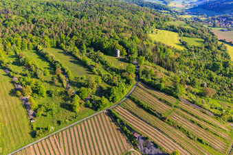 Vue aérienne de Tour de guet et vignobles de Weikersheim avec le domaine viticole Weikersheimer Schmecker à Weikersheim dans le département Bade-Wurtemberg, Allemagne