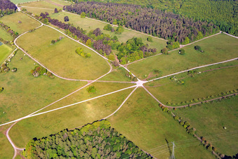 Vue aérienne de Réserve naturelle de Brachenleite à Tauberbischofsheim à Tauberbischofsheim dans le département Bade-Wurtemberg, Allemagne