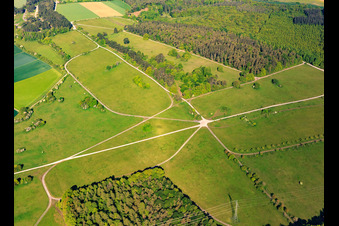 Vue aérienne de Réserve naturelle de Brachenleite à Tauberbischofsheim à Tauberbischofsheim dans le département Bade-Wurtemberg, Allemagne