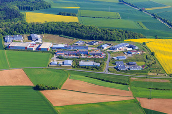 Photographie aérienne de Zone industrielle sur l'A81 avec centre de recyclage Tauberbischofsheim A81, Alpha Techno Massagesessel GmbH, Michael Weinig AG et Spedition HEIN GmbH à Tauberbischofsheim dans le département Bade-Wurtemberg, Allemagne