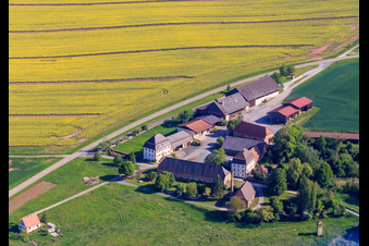 Vue aérienne de Ferme ovine à le quartier Bronnbach in Wertheim dans le département Bade-Wurtemberg, Allemagne