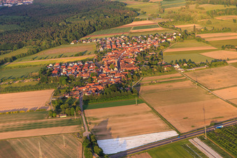 Vue aérienne de Vue du village depuis le nord-ouest à Erlenbach bei Kandel dans le département Rhénanie-Palatinat, Allemagne