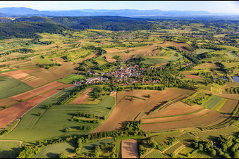 Vue aérienne de Vue du village depuis le nord à le quartier Wallburg in Ettenheim dans le département Bade-Wurtemberg, Allemagne