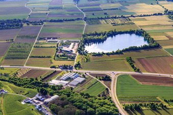 Vue aérienne de Lac Apôtre du club de pêche Ettenheim eV à Ettenheim dans le département Bade-Wurtemberg, Allemagne