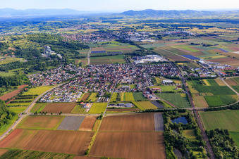 Vue aérienne de Vue du nord à Ringsheim dans le département Bade-Wurtemberg, Allemagne