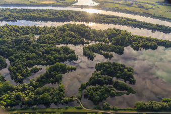 Vue aérienne de Pont de Herrenkopf dans la réserve naturelle de Taubergiessen entre les prairies du Rhin et le Rhin à le quartier Rheinau in Ortenaukreis dans le département Bade-Wurtemberg, Allemagne