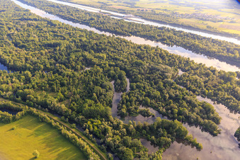 Vue aérienne de Anciens bras du Rhin dans la réserve naturelle de Taubergiessen entre les prairies rhénanes et le Rhin à le quartier Rheinau in Ortenaukreis dans le département Bade-Wurtemberg, Allemagne