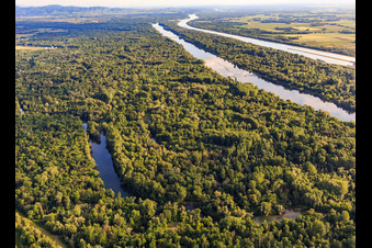 Photographie aérienne de Réserve naturelle de Taubergiessen entre les prairies rhénanes et le Rhin à le quartier Rheinau in Ortenaukreis dans le département Bade-Wurtemberg, Allemagne