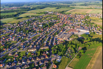 Vue aérienne de Vue de la ville depuis l'ouest à Wittisheim dans le département Bas Rhin, France