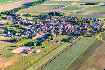 Vue aérienne de Vue du village depuis le nord à Schwobsheim dans le département Bas Rhin, France