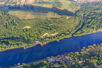 Vue aérienne de Limberg-sur-le-Rhin à Sasbach am Kaiserstuhl dans le département Bade-Wurtemberg, Allemagne