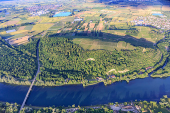 Vue aérienne de Zone de conservation paysagère de Limberg am Rhein à Sasbach am Kaiserstuhl dans le département Bade-Wurtemberg, Allemagne
