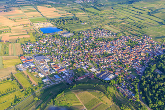 Vue aérienne de Vue de la ville depuis l'ouest à Sasbach am Kaiserstuhl dans le département Bade-Wurtemberg, Allemagne