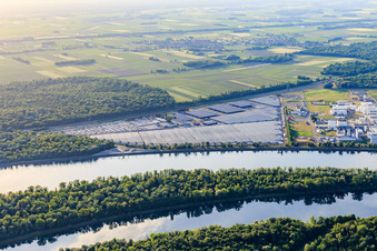 Vue aérienne de Zone industrielle et portuaire avec installations industrielles sur le Rhin au sud-est de Jungbunzlauer SA et TEREOS Starch & Sweeteners Europe devant l'entrepôt automobile CEVA Logistics à Marckolsheim dans le département Bas Rhin, France