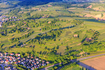 Vue aérienne de Paysage viticole dans la lumière du soir à Malterdingen dans le département Bade-Wurtemberg, Allemagne