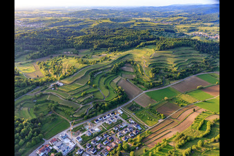 Vue aérienne de Vignobles en terrasses à Malterdingen dans le département Bade-Wurtemberg, Allemagne