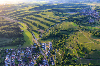 Vue aérienne de Vignobles en terrasses à le quartier Bombach in Kenzingen dans le département Bade-Wurtemberg, Allemagne