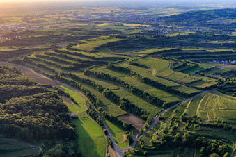 Vue aérienne de Vignobles en terrasses à le quartier Bombach in Kenzingen dans le département Bade-Wurtemberg, Allemagne