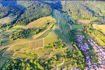 Vue aérienne de Tour de téléphonie mobile sur le vignoble à le quartier Bombach in Kenzingen dans le département Bade-Wurtemberg, Allemagne