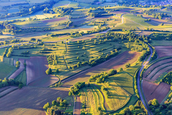 Vue aérienne de Vignes, champs et prairies à le quartier Ettenheimweiler in Ettenheim dans le département Bade-Wurtemberg, Allemagne