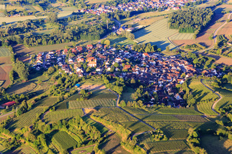 Vue aérienne de Vue du village viticole depuis le nord à le quartier Tutschfelden in Herbolzheim dans le département Bade-Wurtemberg, Allemagne