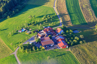 Vue aérienne de Maison de vacances Bührer à le quartier Reichenbach in Freiamt dans le département Bade-Wurtemberg, Allemagne