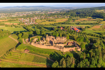 Photographie aérienne de Ruines de la forteresse de Hochburg près de Emmendingen depuis l'est à le quartier Windenreute in Emmendingen dans le département Bade-Wurtemberg, Allemagne