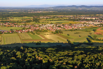 Emmendingen/Kollmarsreute