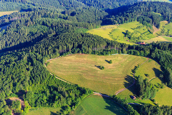 Vue aérienne de Prairie fauchée dans le nord de la Forêt-Noire à Mühlenbach dans le département Bade-Wurtemberg, Allemagne