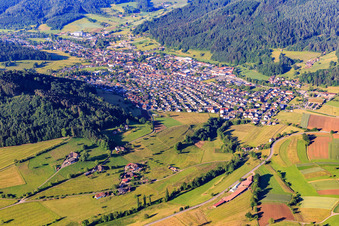 Vue aérienne de Vue du Schuttertal depuis le nord à Seelbach dans le département Bade-Wurtemberg, Allemagne