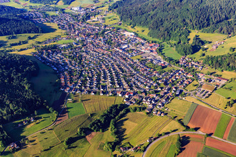 Vue aérienne de Vue d'ensemble de la vallée de Schuttertal depuis le nord-est à Seelbach dans le département Bade-Wurtemberg, Allemagne