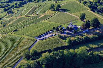 Vue aérienne de Restaurant panoramique Heubergturm / vers le Heuberg sur le vignoble à Ettenheim dans le département Bade-Wurtemberg, Allemagne