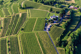 Vue aérienne de Restaurant panoramique Heubergturm / vers le Heuberg sur le vignoble à Ettenheim dans le département Bade-Wurtemberg, Allemagne