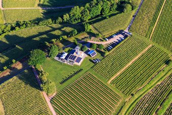Photographie aérienne de Restaurant panoramique Heubergturm / vers le Heuberg sur le vignoble à Ettenheim dans le département Bade-Wurtemberg, Allemagne