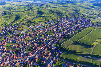 Vue aérienne de Vue du nord à Eichstetten am Kaiserstuhl dans le département Bade-Wurtemberg, Allemagne