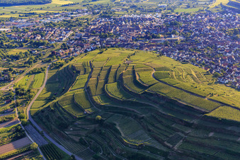 Vue aérienne de Vignobles en terrasses dans le sud du Kaiserstuhl à le quartier Wasenweiler in Ihringen dans le département Bade-Wurtemberg, Allemagne